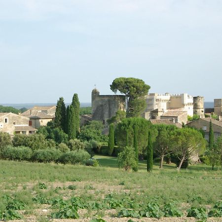 Tour Sarrazine De Montaren Bed & Breakfast Bagian luar foto