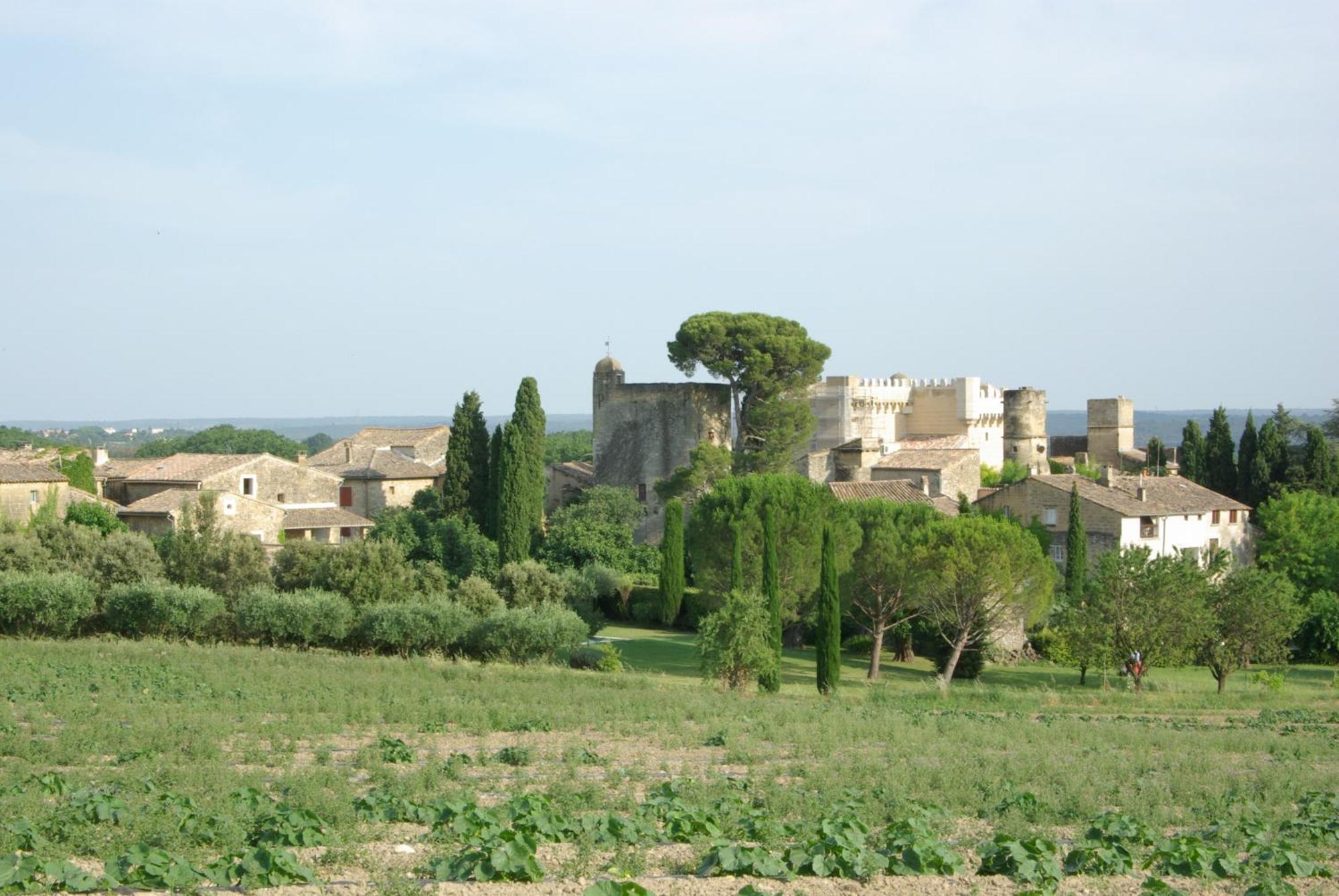 Tour Sarrazine De Montaren Bed & Breakfast Bagian luar foto