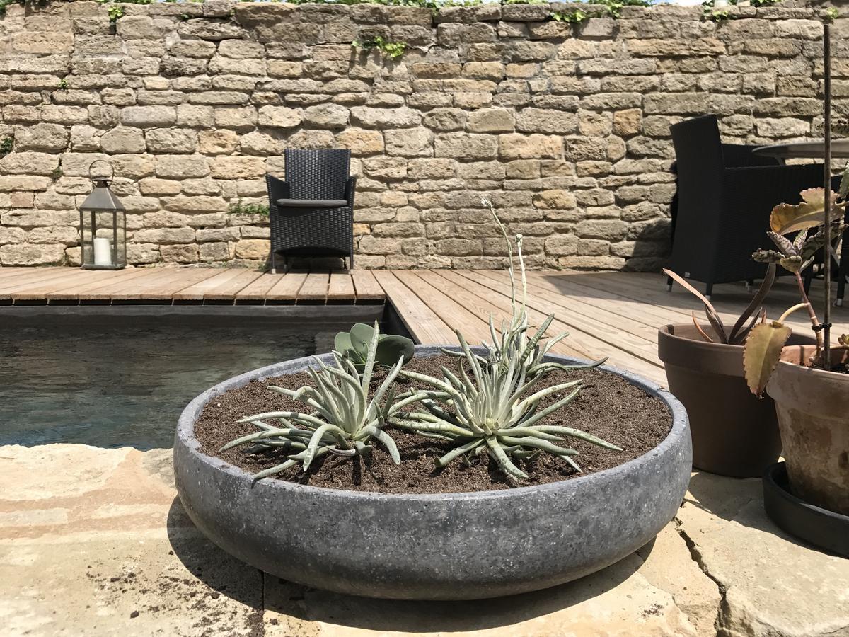 Tour Sarrazine De Montaren Bed & Breakfast Bagian luar foto
