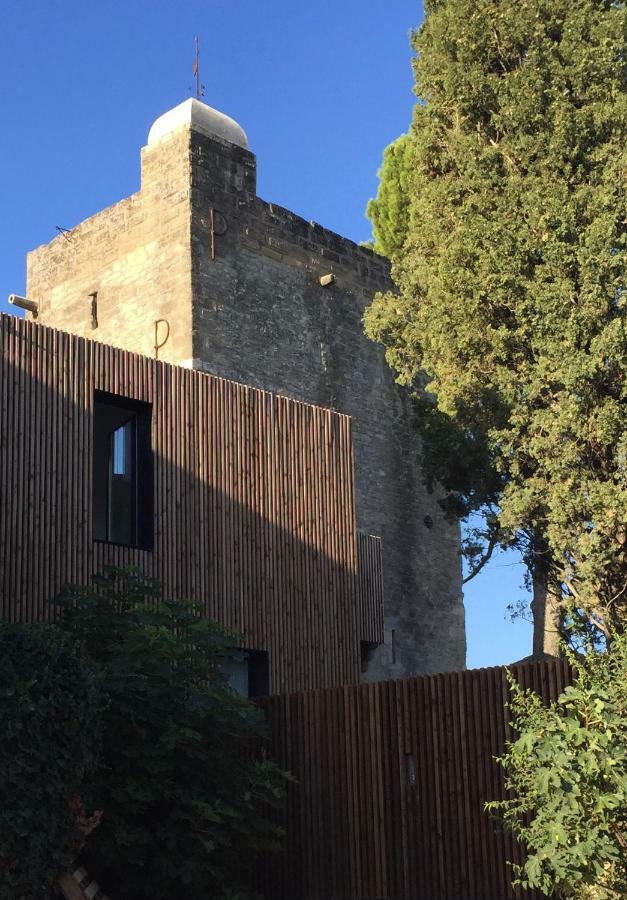 Tour Sarrazine De Montaren Bed & Breakfast Bagian luar foto
